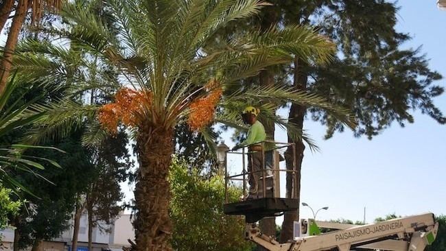 Adra invierte 186.000 euros en el mantenimiento de sus parques y jardines