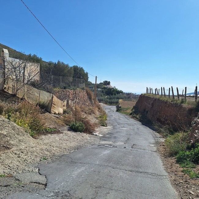 Dalías invertirá 250.000 euros en mejorar cinco caminos rurales para mayor seguridad y accesibilidad