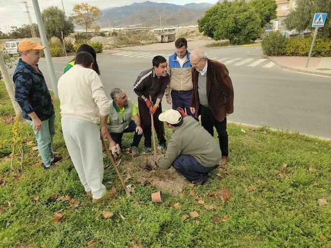 Jóvenes de Asprodesa y la Escuela Agraria plantan 200 árboles en Vícar