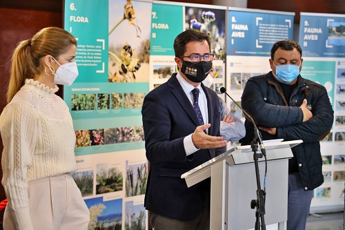 El Ejido conmemora el Día de la Paz con el proyecto ‘El Abuelo Acebuche’