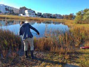 El Ayuntamiento de El Ejido continúa con el control de mosquitos