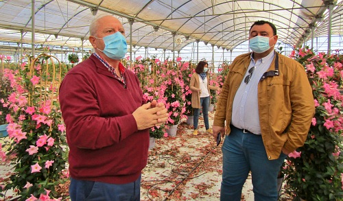 El Ayuntamiento de El Ejido evalúa el impacto económico del COVID-19 en el sector de la planta ornamental