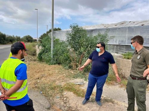 Limpieza de cunetas y desbrozado de los caminos rurales de El Ejido