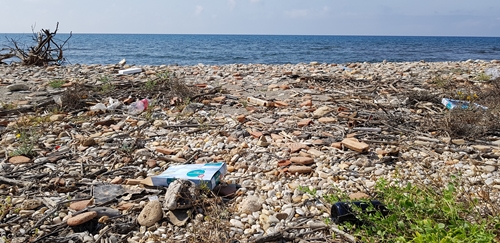 El PSOE denuncia que la ciudad sigue sin una playa canina 