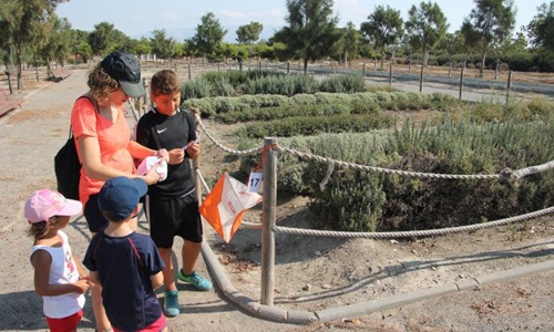 Los XXII Juegos Itinerarios de Orientación llegarán al Parque del Andarax el 20 de agosto
 