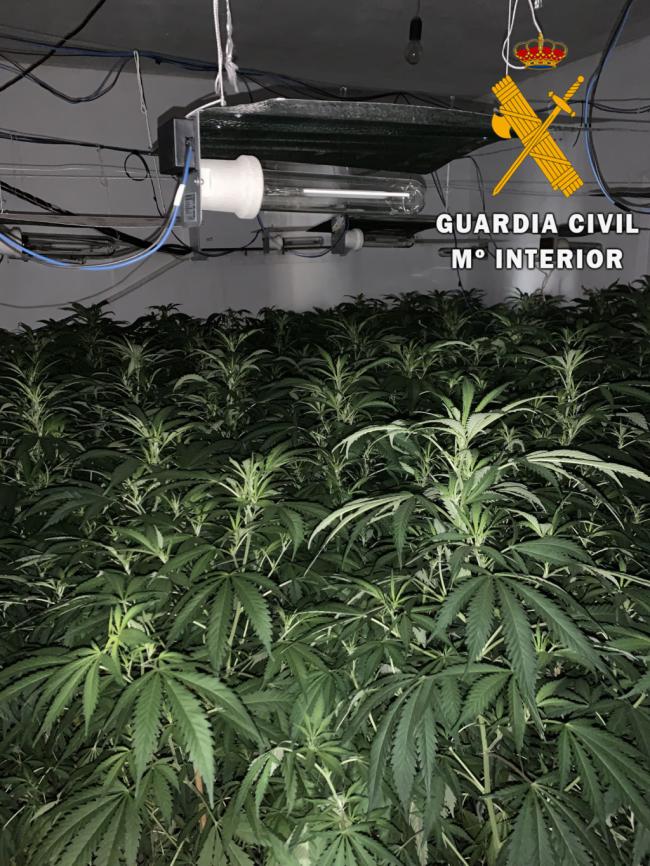 La Guardia Civil haya en dos viviendas un cultivo “in door” de marihuana en Gádor