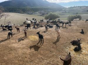 El delegado de Agricultura realiza una visita a una explotación ganadera de María