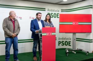 El PSOE vuelve a incidir en el problema de las ambulancias en la provincia
 