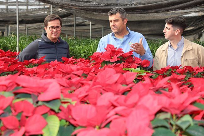 El alcalde ejidense anima a impulsar el sector local de pascueros