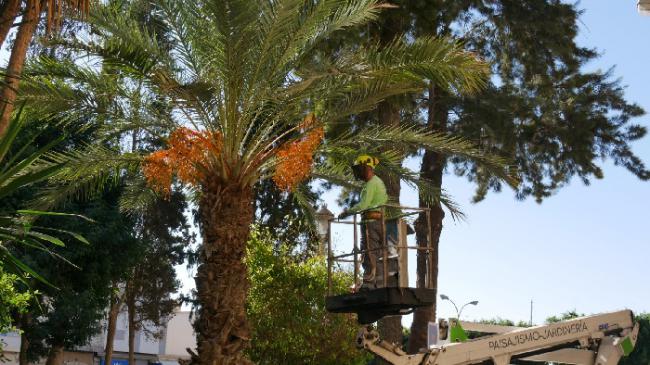 Ayuntamiento de Adra destina 170.000 euros al cuidado de parques y jardines