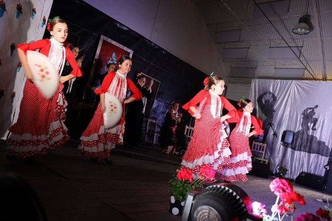 Un flamenco muy especial en El Ejido