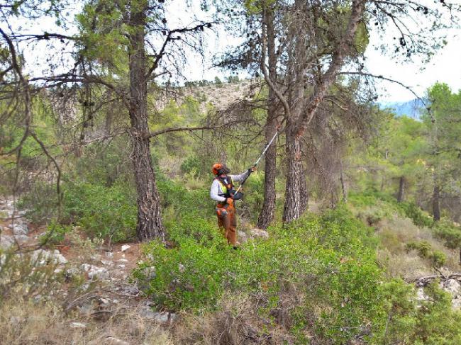 El 22 % de la superficie de Almería son montes públicos