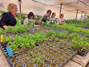 Descubre cómo el taller AgroIntegra de Down El Ejido transforma vidas