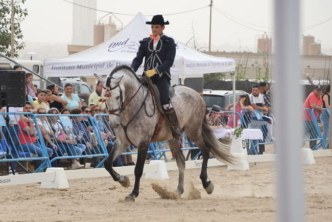 Santa María del Águila celebra la II Feria del Caballo y las Tradiciones Culturales