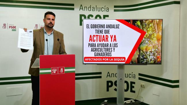 El PSOE exige ayudas para agricultores y ganaderos afectados por la sequía