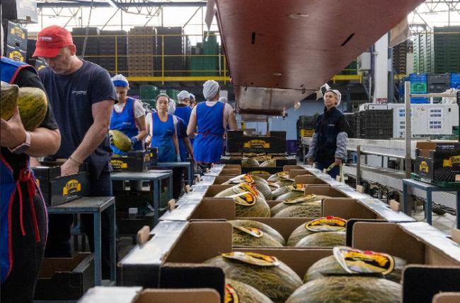 Perspectivas prometedoras para Grupo Agroponiente en la campaña 24/25