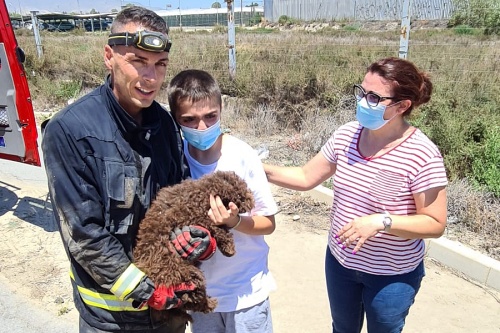 Los Bomberos rescatan a un cachorro de perro de agua de un imbornal en La Cañada