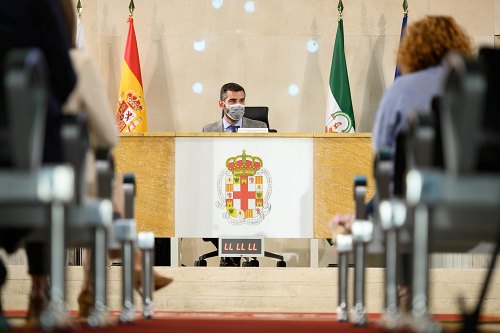 El Pleno del Ayuntamiento aprueba una declaración institucional de solidaridad con La Palma