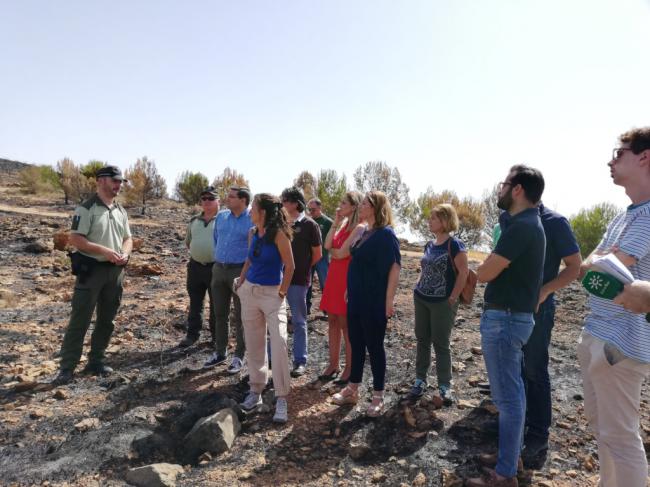 La Junta acometerá la restauración de Terque tras el incendio