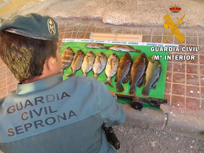 Denunciado por la Guardia Civil de Almería por pesca ilegal en Cabo de Gata