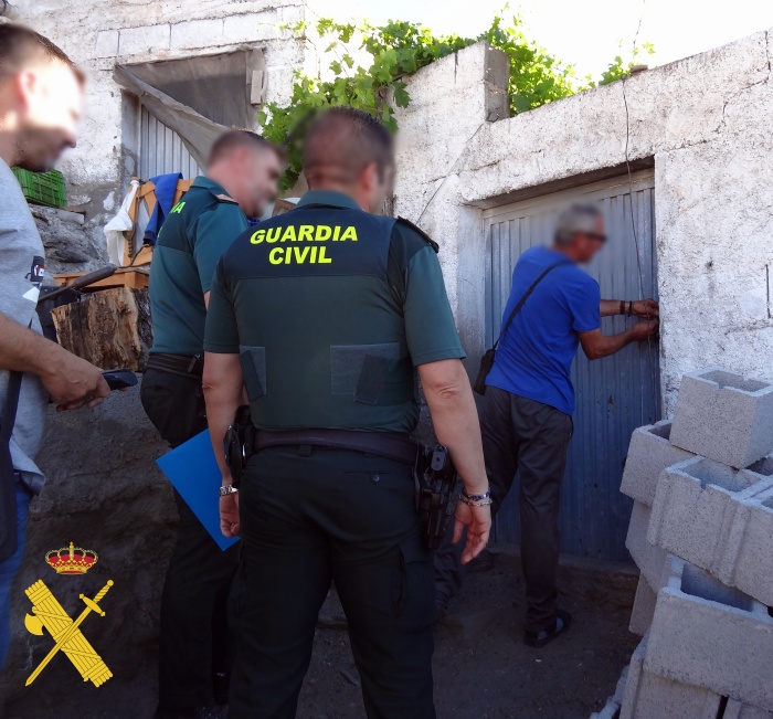 Intervenidas 500 plantas de marihuana y neutralizados dos enganches en Gérgal