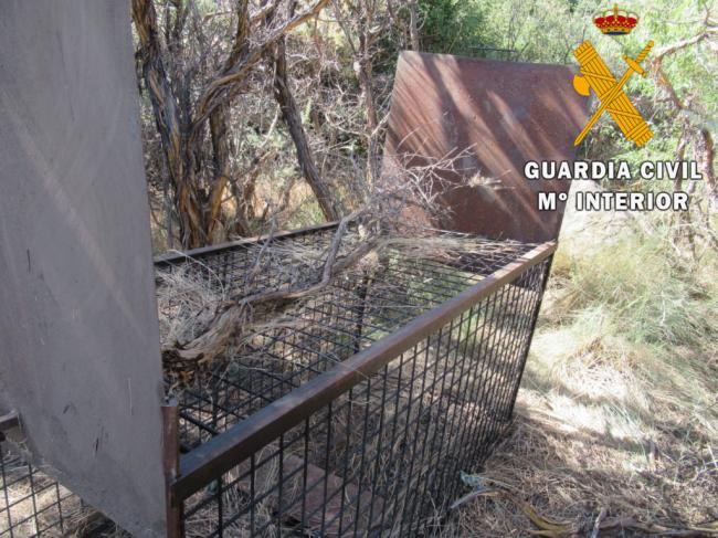 Intervenida una jaula para atrapar grandes animales en Abrucena