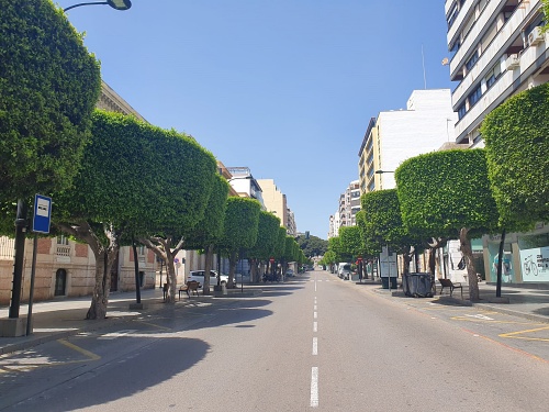 Concurso de ideas para mejorar el eje Paseo-Obispo Orberá-Puerta de Purchena