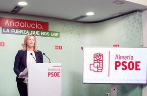 El PSOE pone en valor la actuación de la Junta en el Colegio Nueva Andalucía