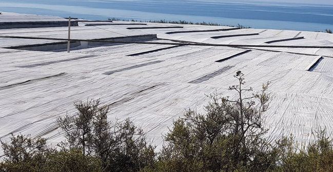 Documento de Acompañamiento al Transporte para luchar contra los robos en el campo