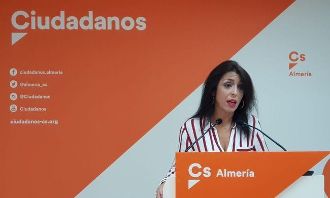 Bosquet acusa al PSOE de 'comprar el voto de los almerienses con millones de euros'