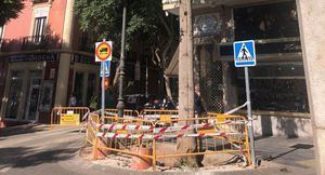 El Ayuntamiento retirará un árbol en la Plaza del Carmen ante el riesgo de caída