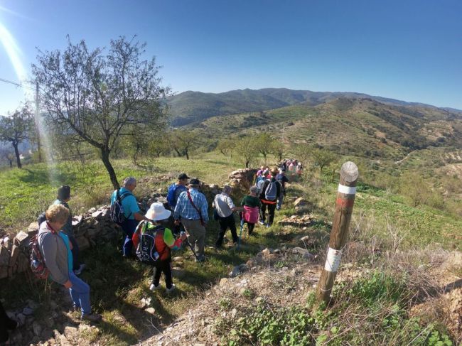 La XIII Olimpiada De Mayores Retoma Sus Actividades Con Un Recorrido Senderista Por Macena