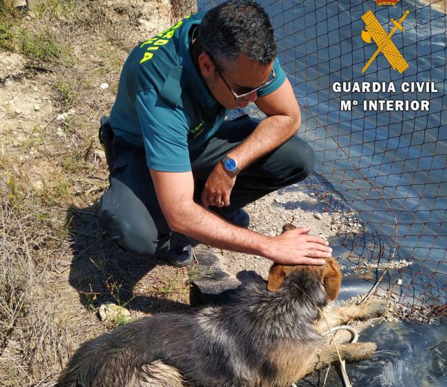 La Guardia Civil rescata a un perro atrapado en el interior de una balsa de riego