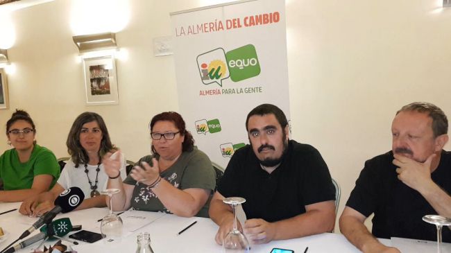 IU califica de 'decepcionante' el nuevo gobierno municipal