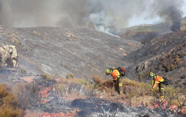 Declarado un incendio forestal en el paraje La Zarda de Terque