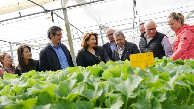 La Junta facilitará la constitución de hasta 1.250 empresas de jóvenes agricultores