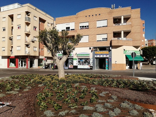 El ajardinamiento ornamental culmina la nueva rotonda de la calle Instinción