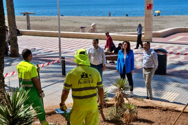 Mejoran las zonas ajardinadas del Paseo Marítimo y su entorno