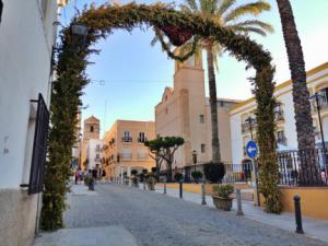 Decoración floral para dinamizar el centro histórico comercial de Vera