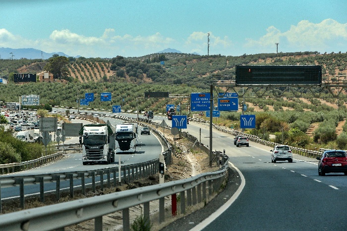 Revegetación en autovías de Almería