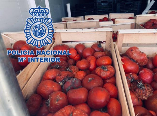 220 kilos de marihuana ocultos en un trailer de verdura podrida