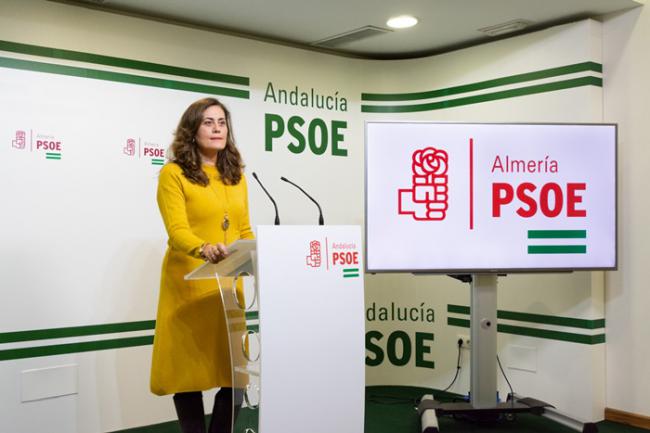 El PSOE critica la lentitud de Diputación con las nuevas normativas