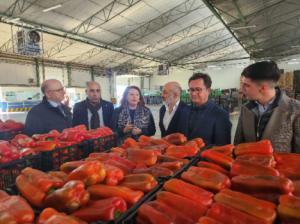 Un 35% de la exportación hortícola andaluza es almeriense