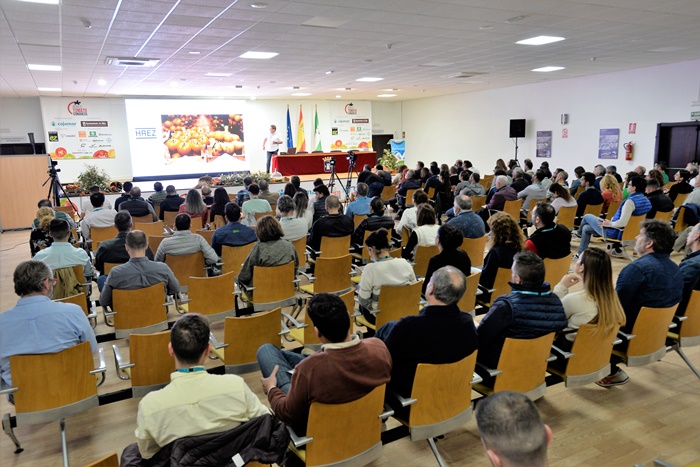 El Congreso Internacional del Pimiento tendrá lugar el próximo mayo en Almería