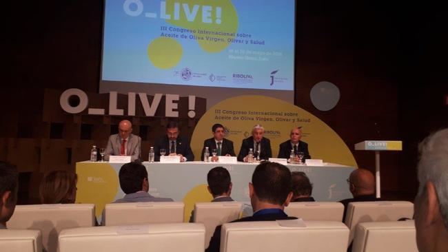 El congreso O_Live! defiende que el aceite de oliva es salud