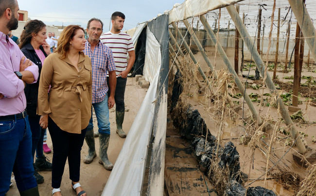 La Junta paga 1,6 millones en Almería como ayuda para los seguros agrarios