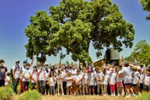 Cosentino fomenta la biodiversidad con “Care For the Planet”