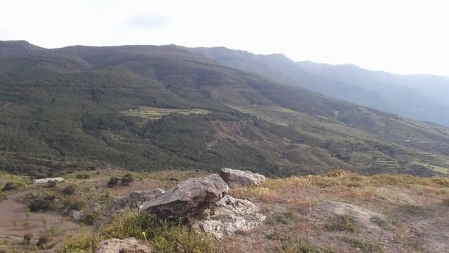 Medio Ambiente oferta para su explotación de 178 asentamientos apícolas en montes públicos almerienses