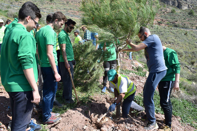 Vícar Se Acoge Al Plan Savia 2018-2019 De La Diputación Para Continuar Mejorando Sus Zonas Verdes