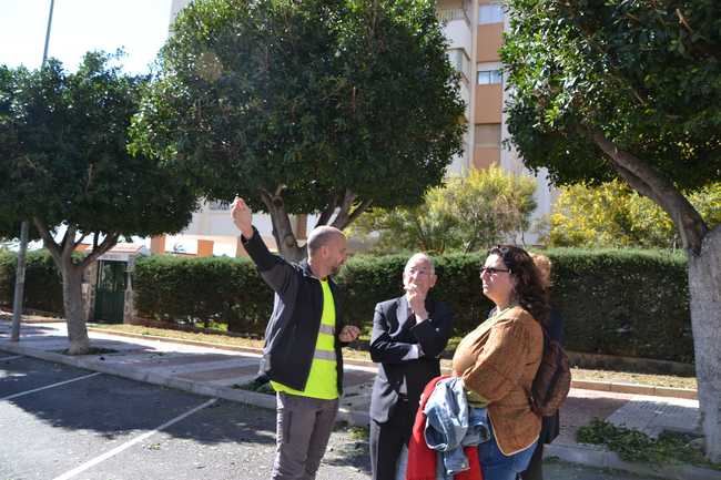 Nuevo protocolo de podas en Roquetas que previene las plagas